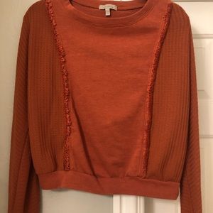 FALL SWEATER